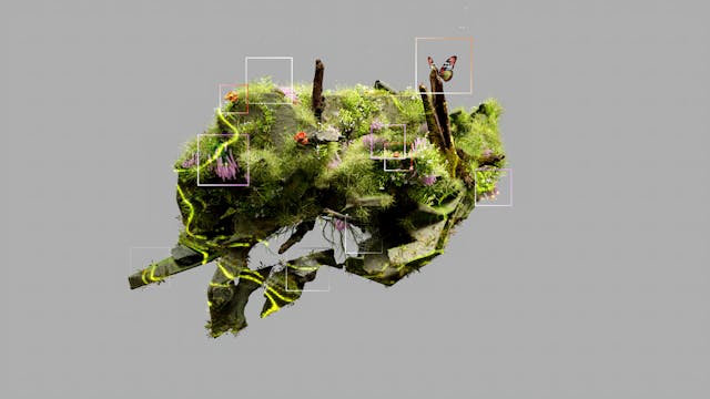 ecological